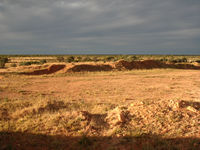 Evening light on our bush camp on the Plenty Hwy